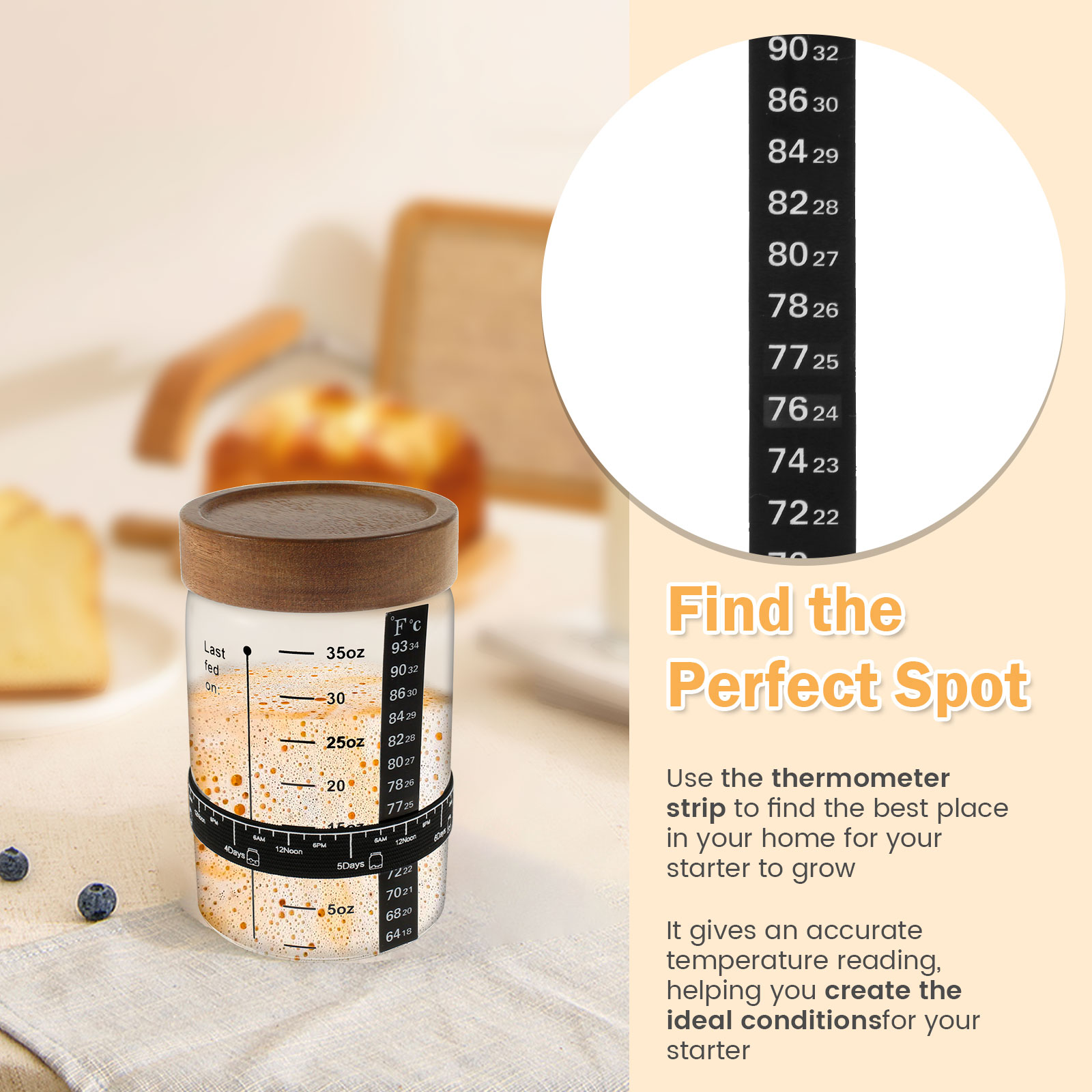Kit barattolo di avviamento a  - Kitchen Baking Containers recensione e prezzo